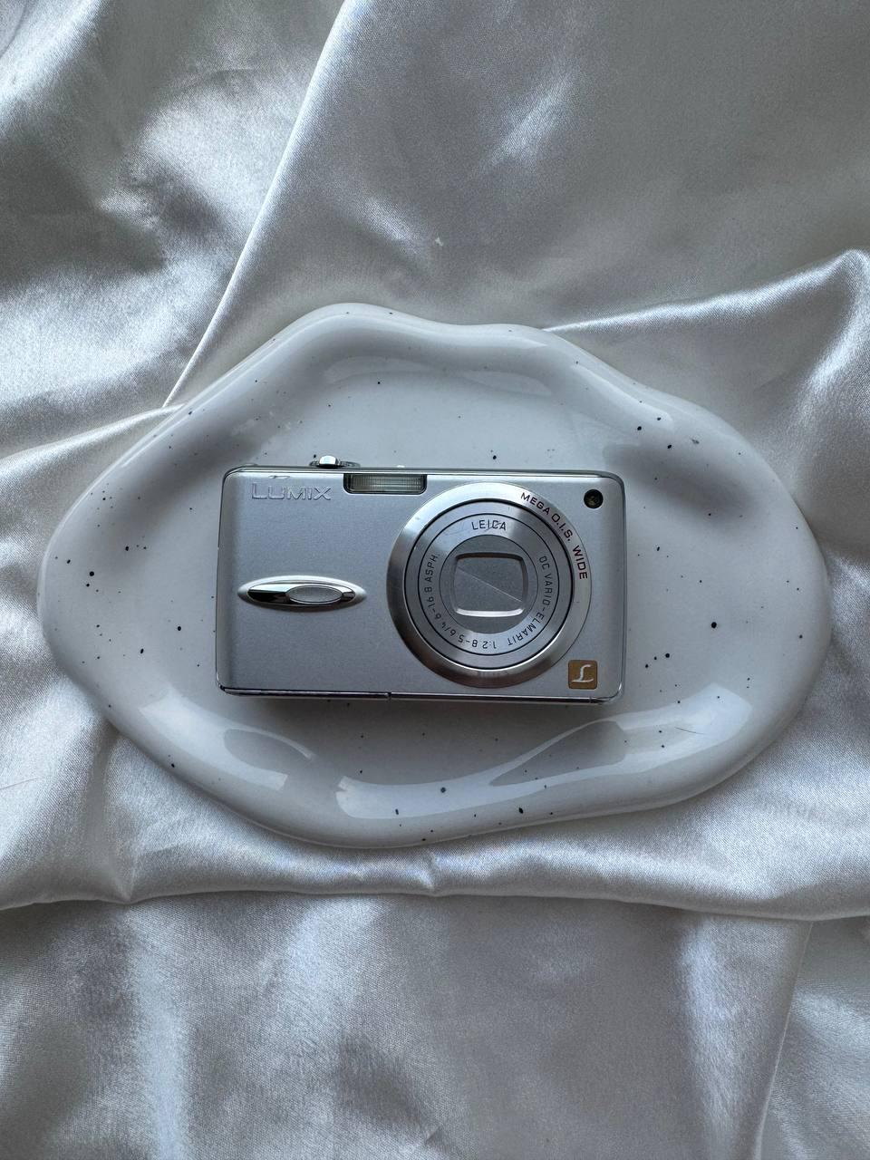 Panasonic Lumix FX01 (Silver)