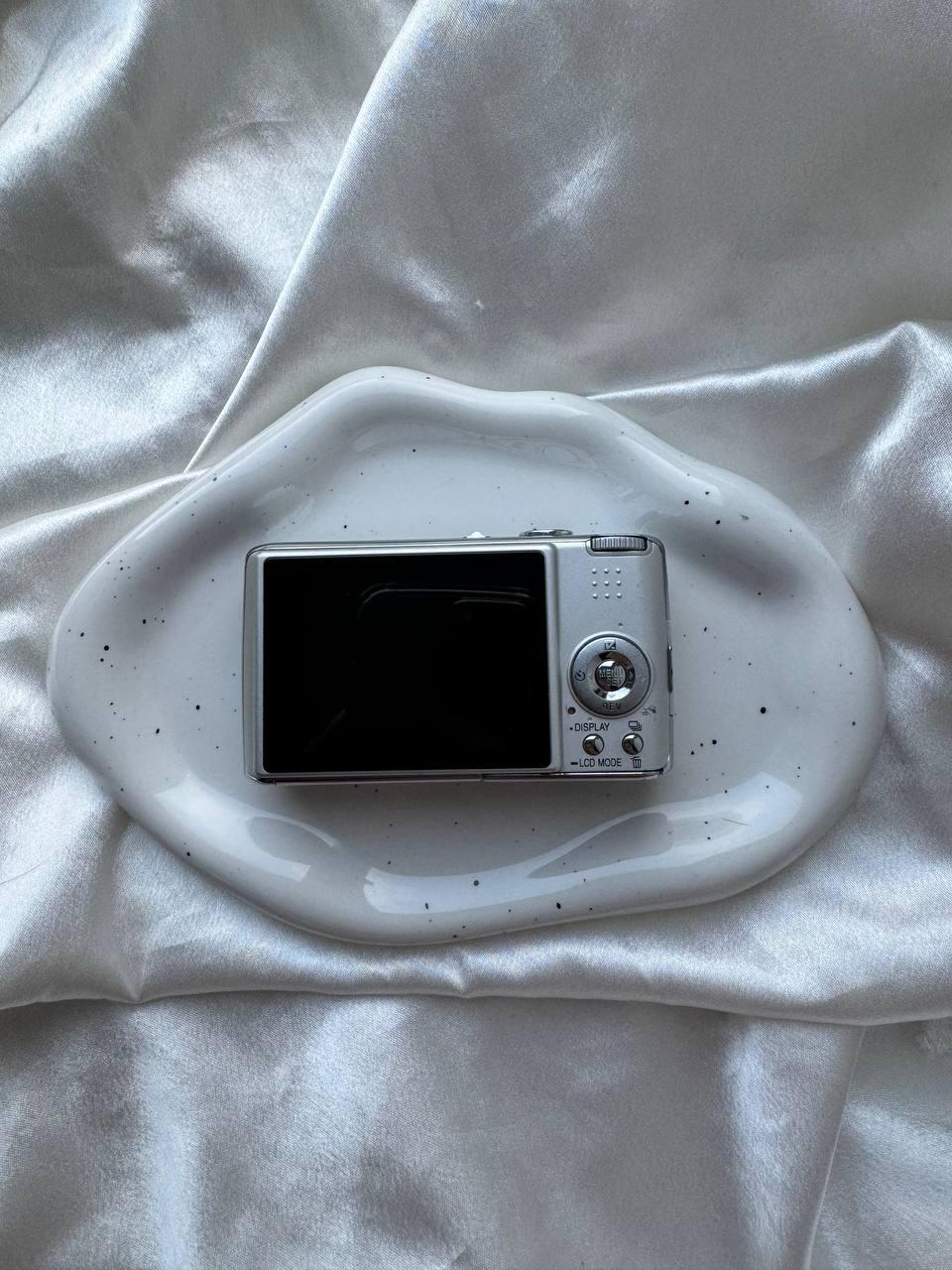 Panasonic Lumix FX01 (Silver)