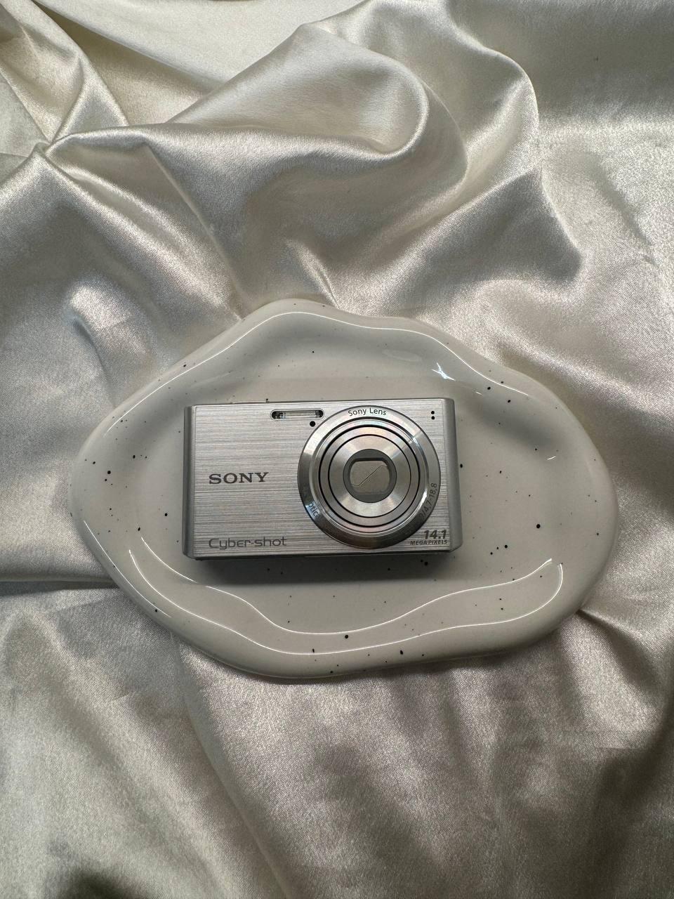 Sony Cybershot W610 (Silver)