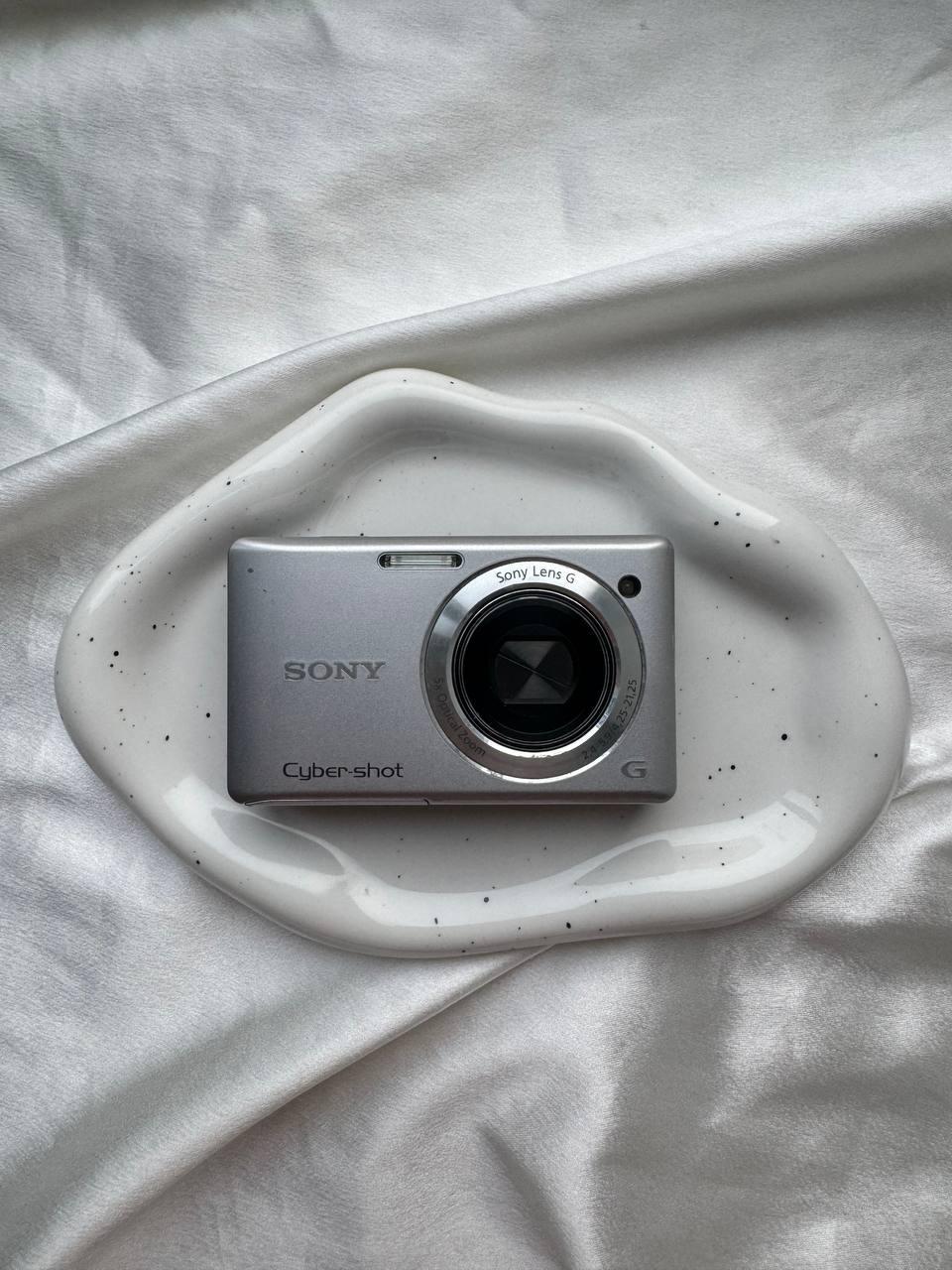 Sony Cybershot W390 (Silver)