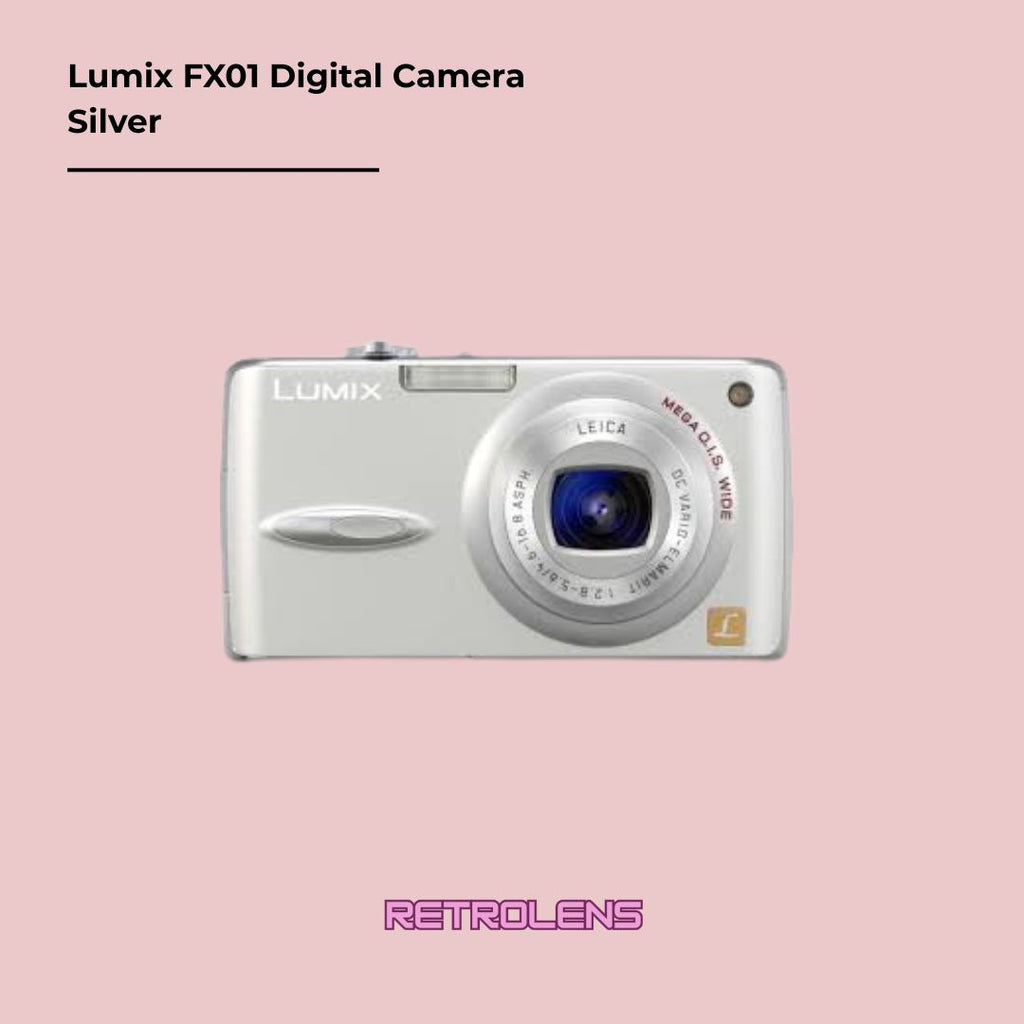 Panasonic Lumix FX01 (Silver)